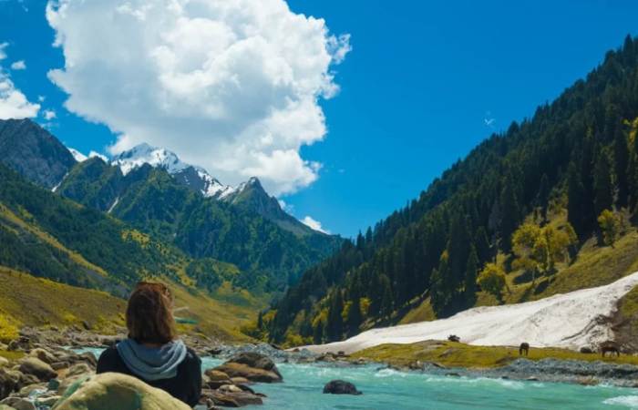 Kashmir