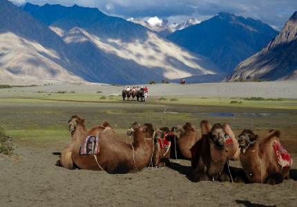 Leh Ladakh Expedition from Chandigarh – 9 Days of Mountain Magic