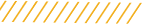 Footer Line
