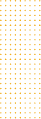 Tuse Image